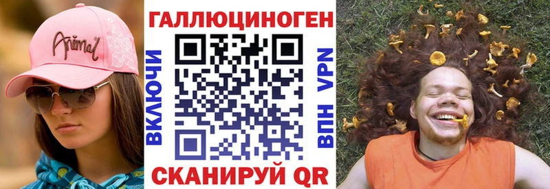 Галлюциногенные грибы Psilocybine cubensis  Динская 
