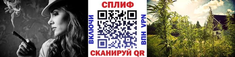 МАРИХУАНА семена  наркошоп  shop наркотические препараты  Динская 